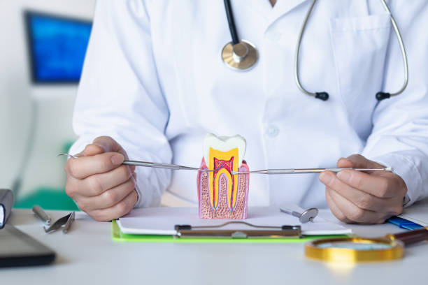 Best Chipped Tooth Repair Near Me  in Manorhaven, NY